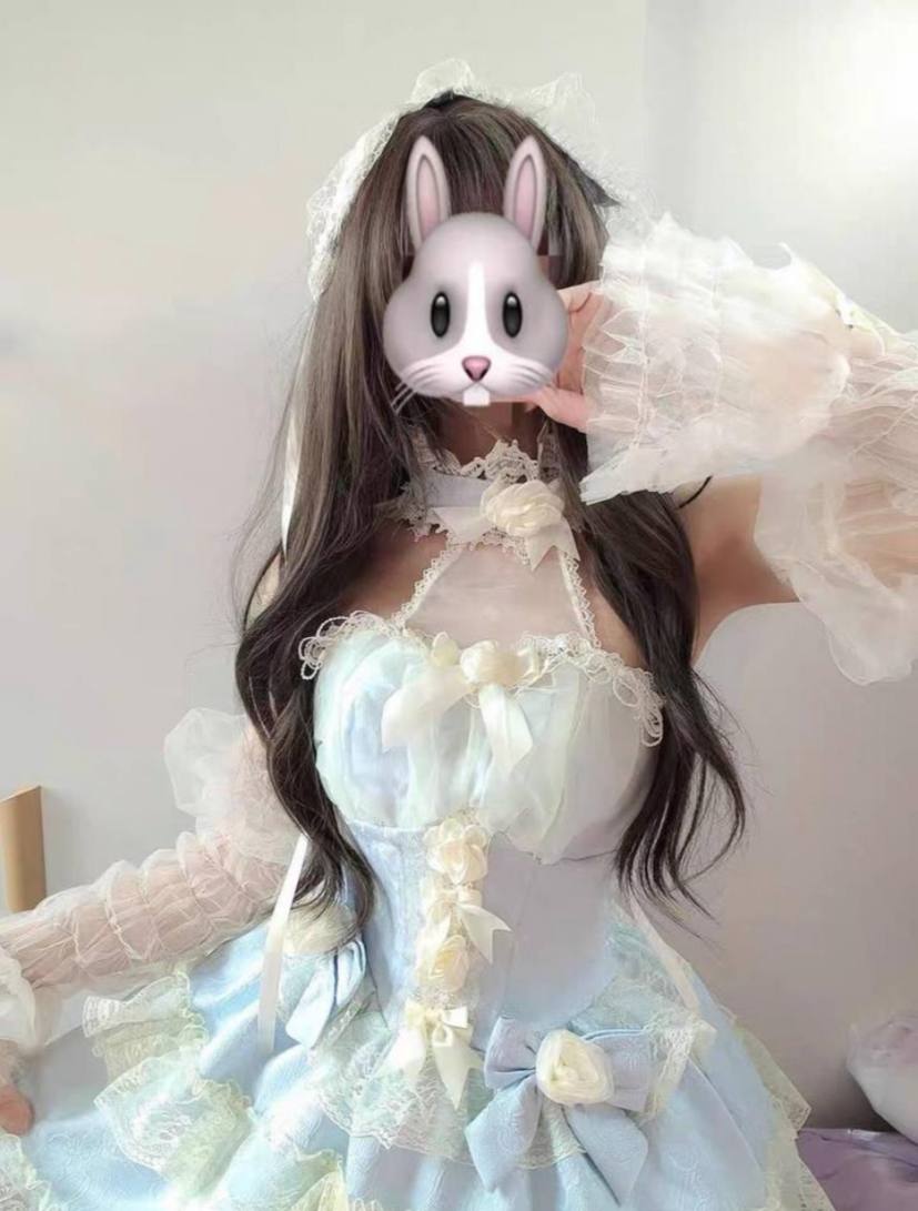 Blue Rose Princess Dress Set
